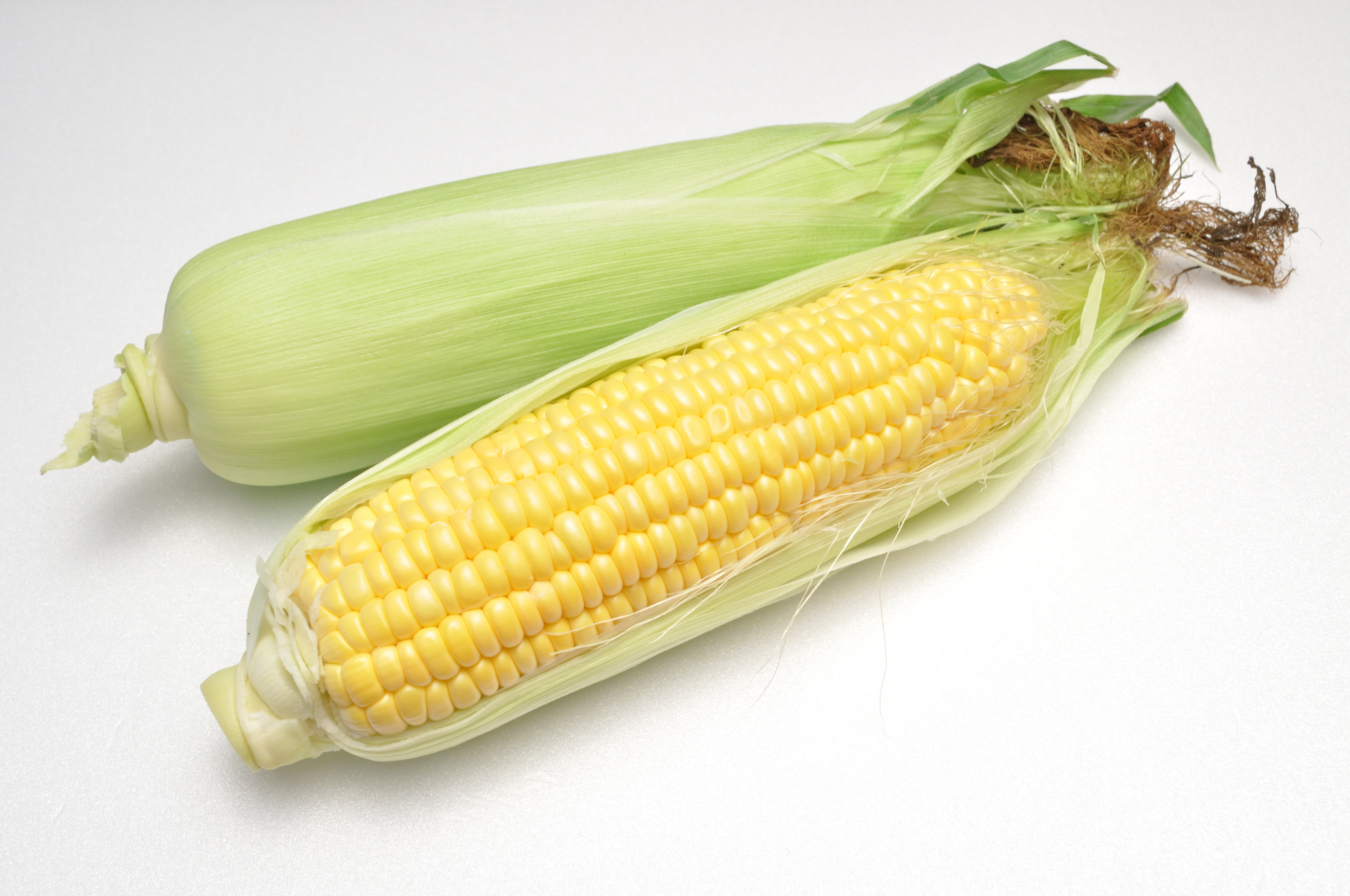 Corn.jpg