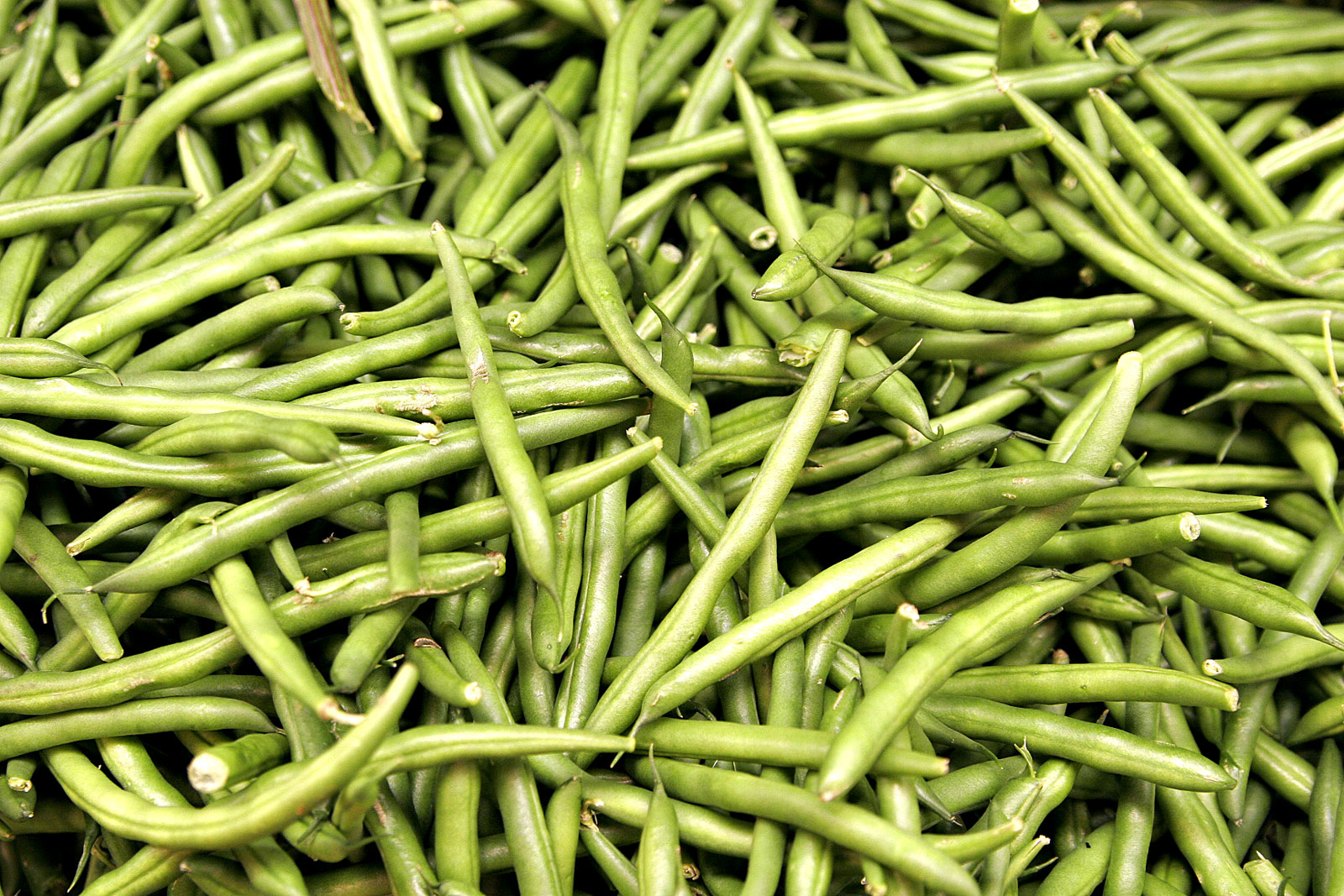 Green-Beans.jpg