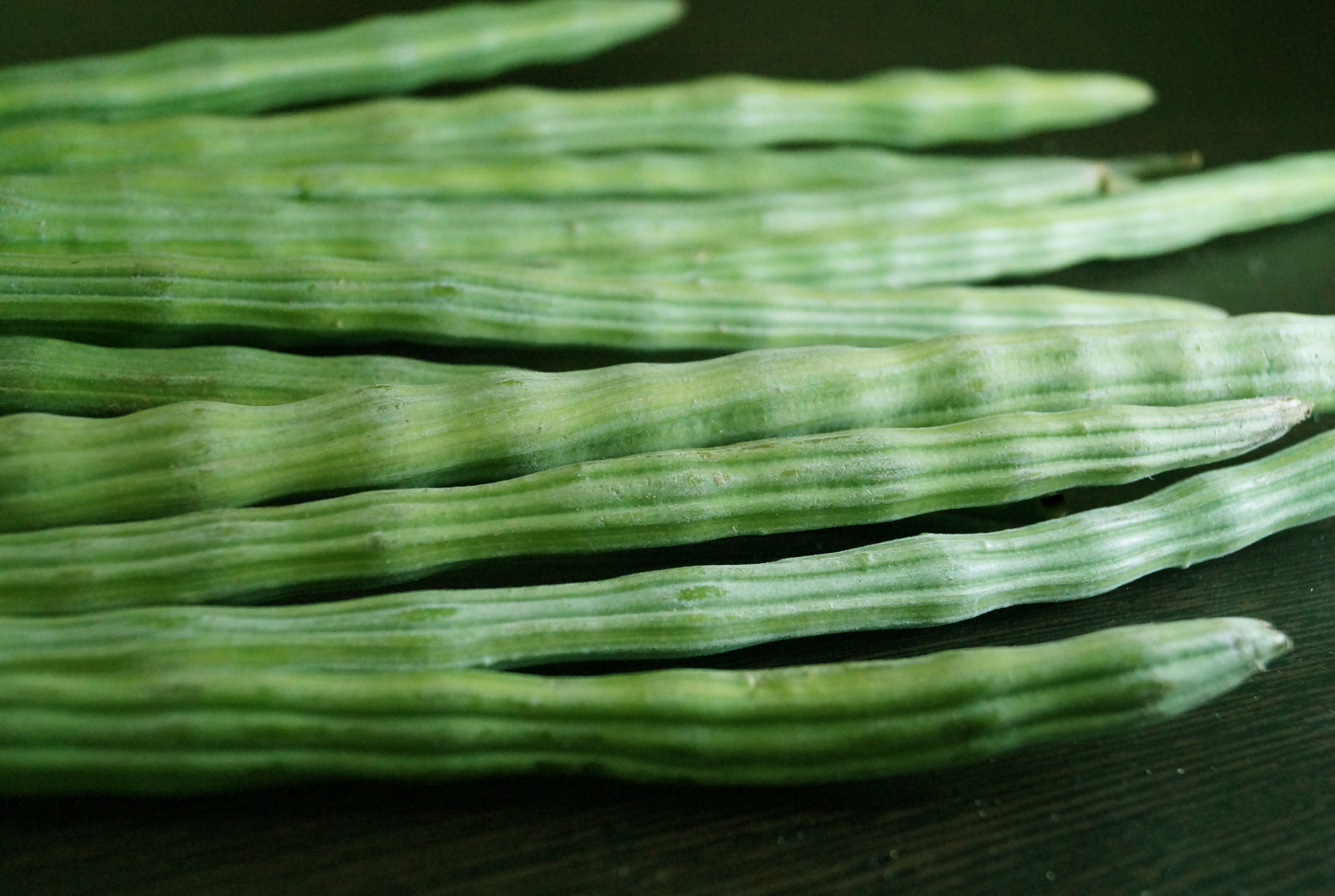 Moringa_Drum-Stick.jpg